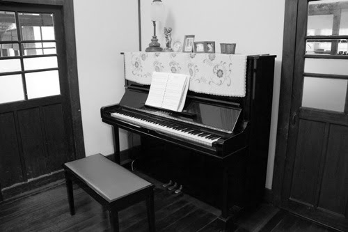 青田七六-【老鋼琴．新生命】海豚飛的說唱人生